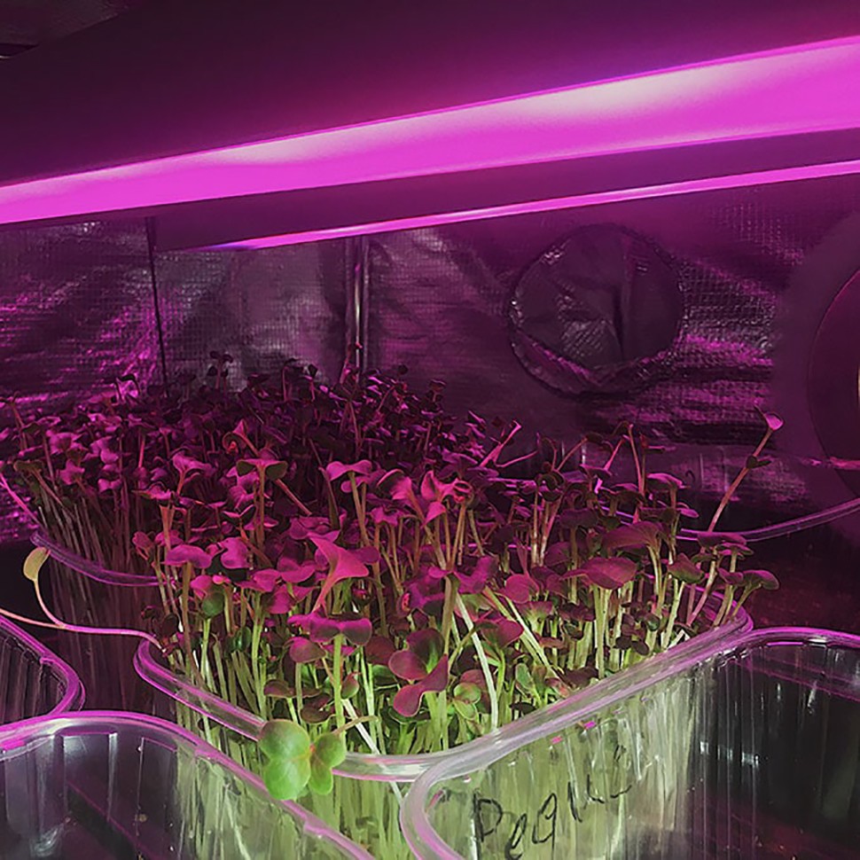 Фитосветильник Орион 88 Вт с подставкой в интернете Фитосветильник Орион 88 Вт с подставкой в интернете