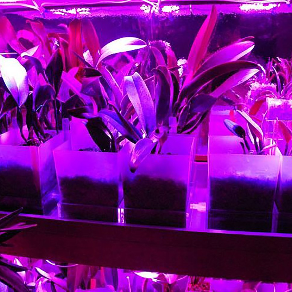 Фитосветильник Союз 100 Вт с доставкой Фитосветильник Союз 100 Вт с доставкой