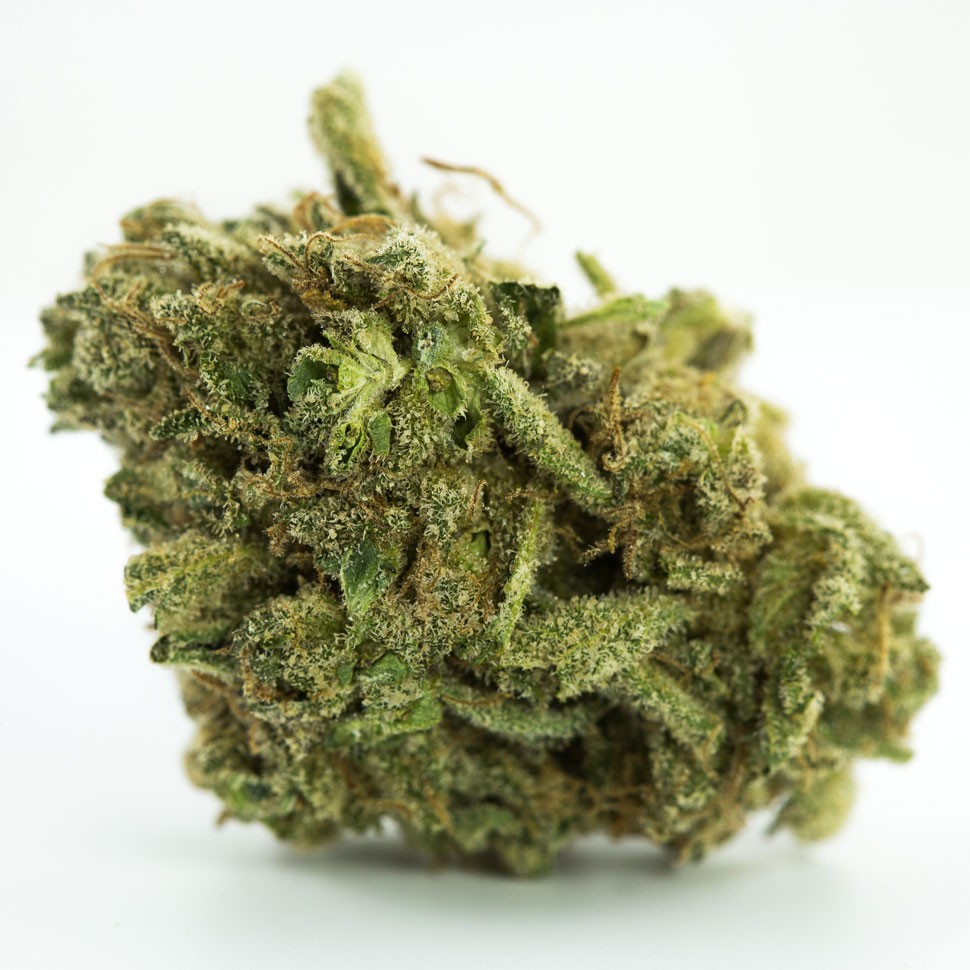 купить семена конопли в Украине White Russian regular купить семена конопли в Украине White Russian regular