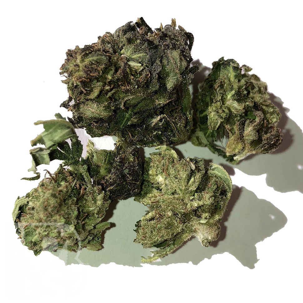 Blue Himalaya feminised Ganja Seeds Blue Himalaya feminised Ganja Seeds