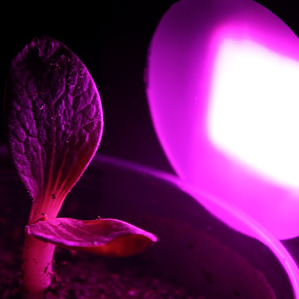 Линейный светодиодный фитосветильник LED Союз 5 для конопли Линейный светодиодный фитосветильник LED Союз 5 для конопли